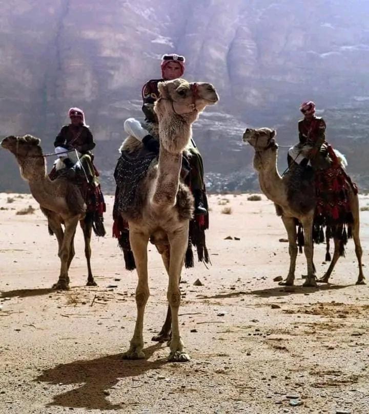 וואדי רם Enad Desert Camp מראה חיצוני תמונה