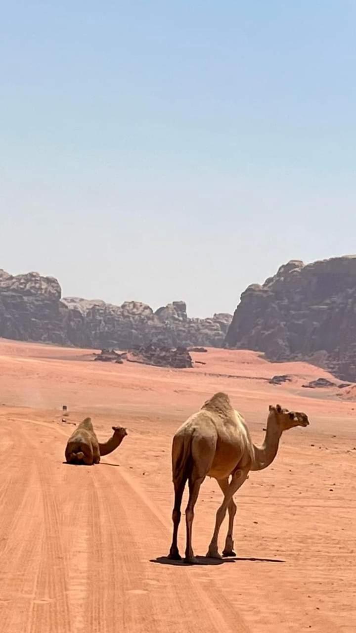 וואדי רם Enad Desert Camp מראה חיצוני תמונה